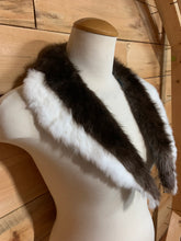 Load image into Gallery viewer, Winter 2025 collars