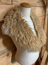 Load image into Gallery viewer, Winter 2025 collars