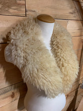 Load image into Gallery viewer, Winter 2025 collars