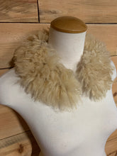 Load image into Gallery viewer, Winter 2025 collars