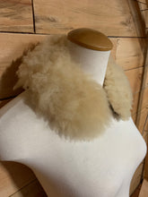 Load image into Gallery viewer, Winter 2025 collars