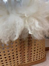 Load image into Gallery viewer, Back bicycle basket