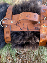 Load image into Gallery viewer, Blanket straps - porcupine and pine