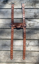 Load image into Gallery viewer, Blanket straps - porcupine and pine