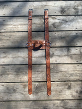 Load image into Gallery viewer, Blanket straps - meadow theme