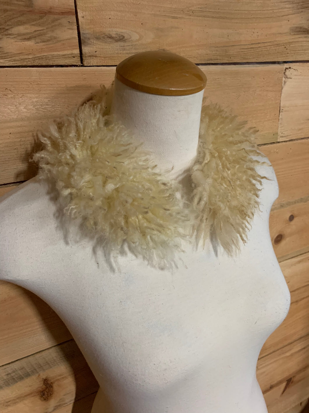 Winter 2025 collars
