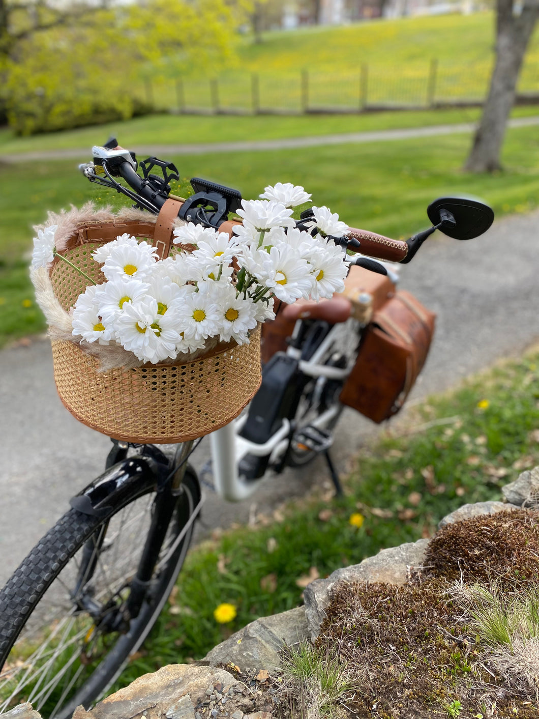 Front bicycle basket