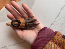 Load image into Gallery viewer, Keychain or ornamento - beaver&#39;s paw with fish leather inlay
